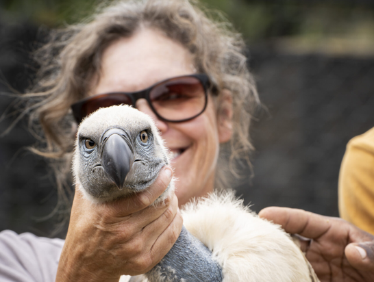 screenshot 2026 01 08 at 10.47.27