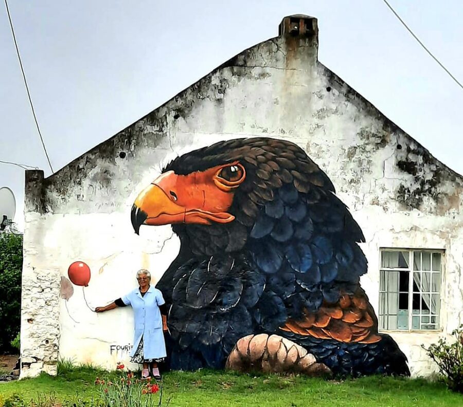 Groot Brak 3 900x792 1