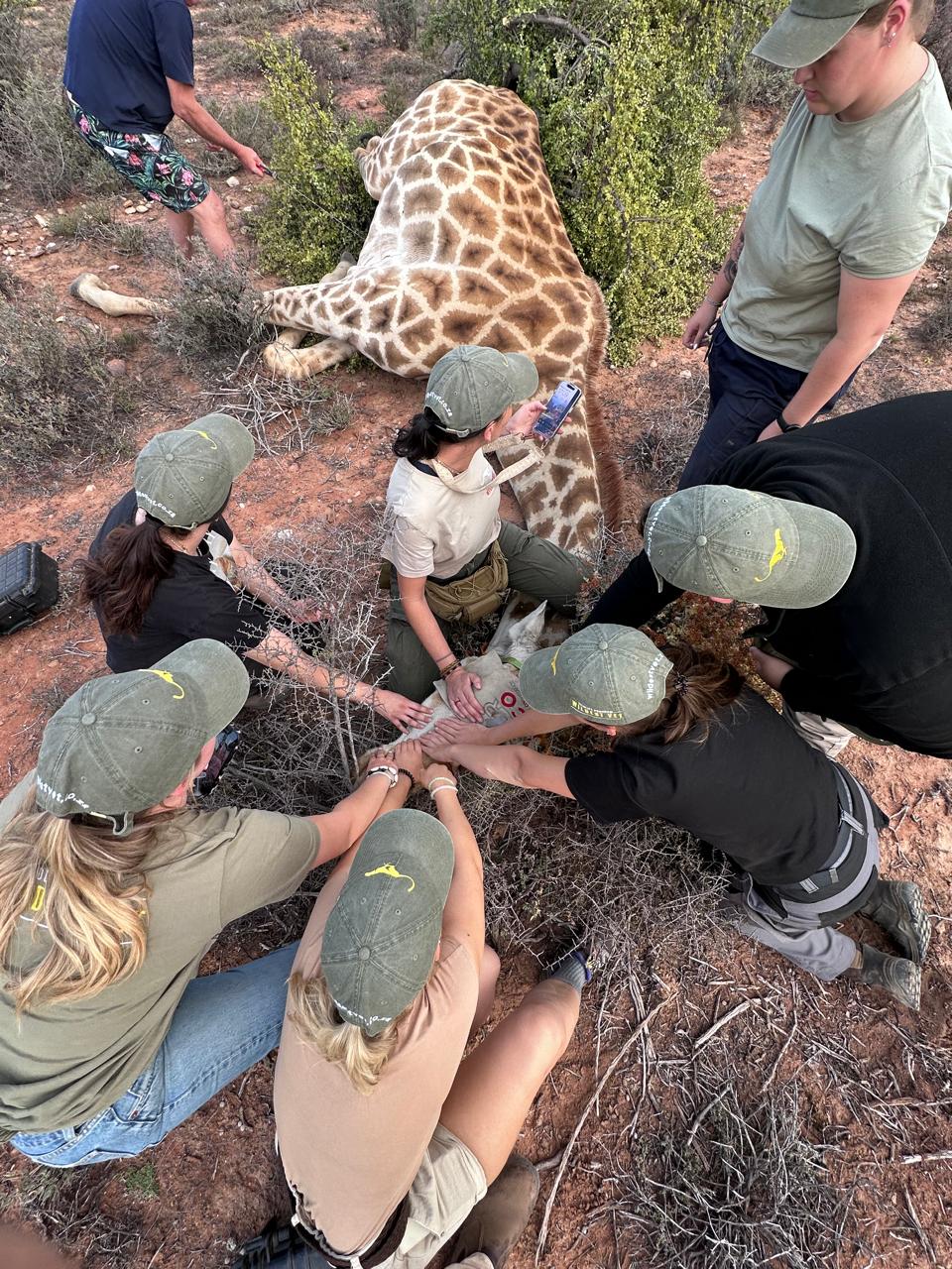 23e819f4 3d6e 4397 93ef 156fb065d34a