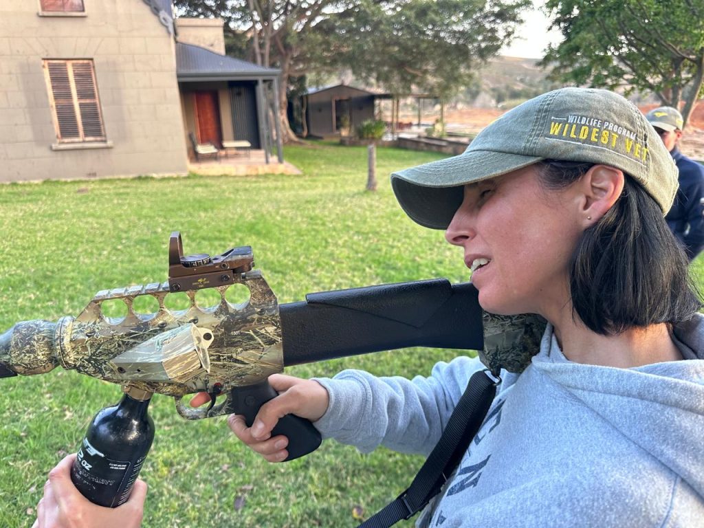 9cceb32c 8b04 4c25 B131 D94d002b886e 1024x768