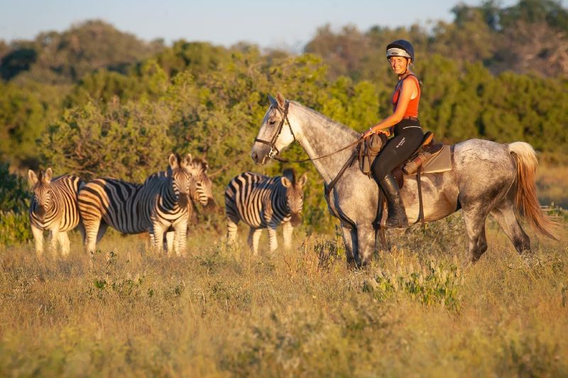 African Horse Safaris Tuli Horse Safari Botswana 1