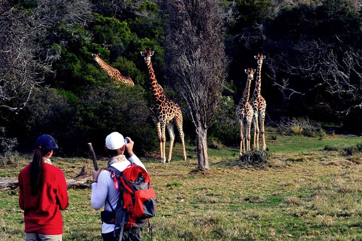 botlierskop activities guided bush walk 01