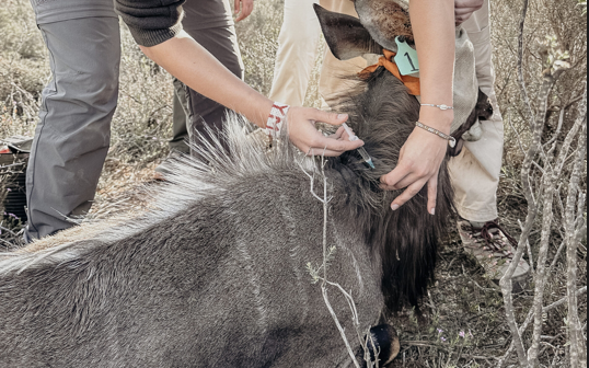 Screenshot 2026 01 08 At 10.47.03