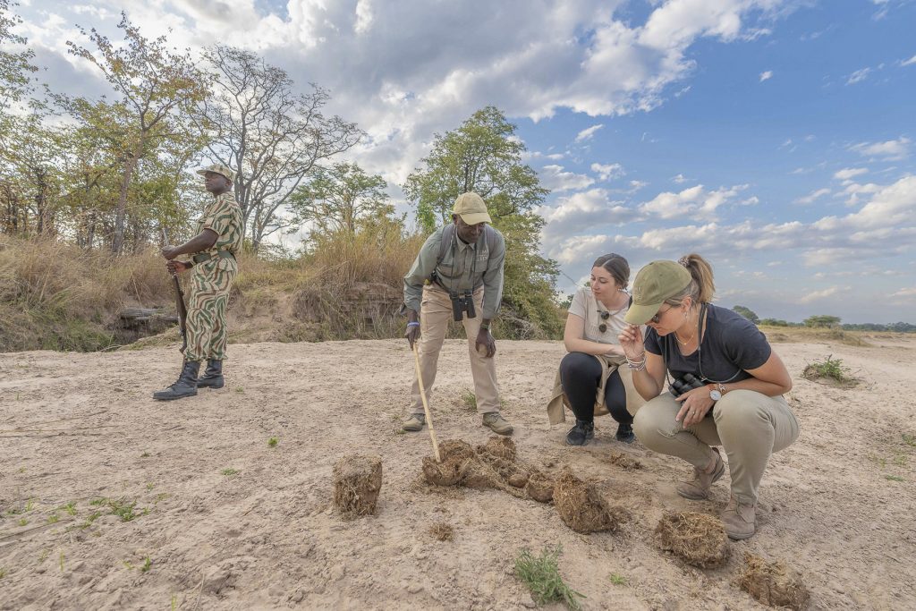 Walking Safari Lr 6 1024x683