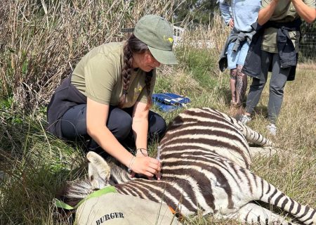 A48f2da1 740e 48ec 96b3 5a48938afc77 Rjrg0qxpip976jylry0ywligl8vhbuutk4pka03ncw